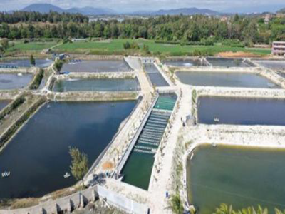 Aquaculture Wastewater Treatment