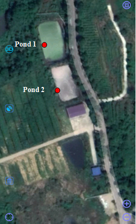 Pond Location 1.png