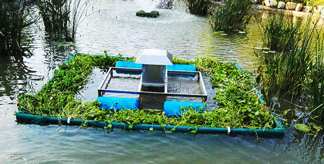 River Biorehabilitation,  River Bioremediation,  Uraban river management,  River pollution control